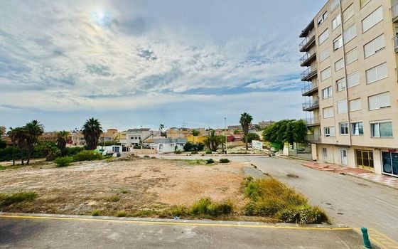 3 bedroom Apartment in Torrevieja - VZ124450 - Photo - Small - 13
