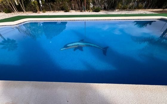 4 bedroom Villa in Dolores - SV124518 - Photo - 4