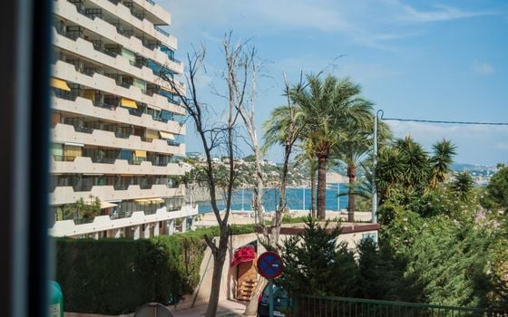 1 bedroom Apartment in Calpe - ICB125407 - Photo - Small - 15
