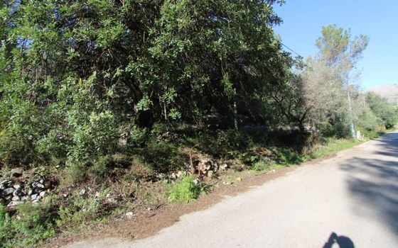 Pozemek   v Orba, - PGP125578 - Foto - 4