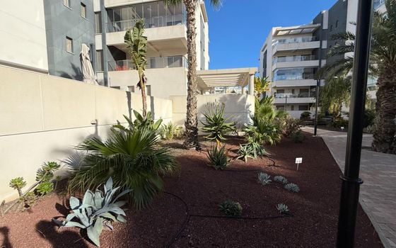 Appartement de 3 chambres à Los Dolses - GVS125644 - Photo - Small - 19