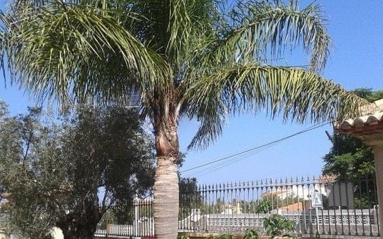 Villa de 5 chambres à Denia - RD125713 - Photo - Small - 16