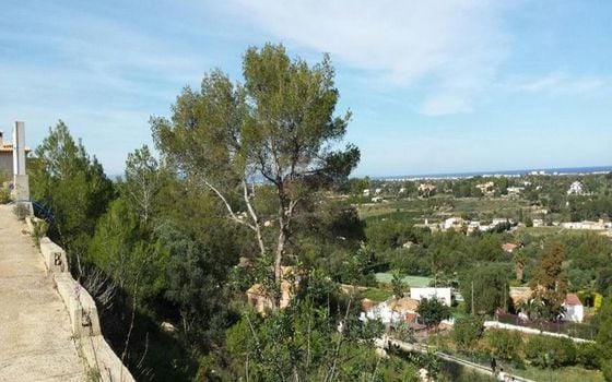 Pozemek   v Denia, - RD125731 - Foto - Small - 7