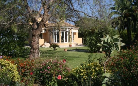 Villa de 4 chambres à Denia - RD125747 - Photo - 3