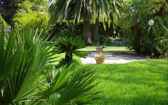 Villa de 4 chambres à Denia - RD125747 - Photo - Small - 25