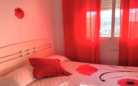 Penthouse de 3 chambres à Torrevieja - SV126247 - Photo - Small - 15