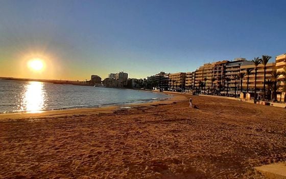 Penthouse de 3 chambres à Torrevieja - SV126247 - Photo - Small - 31