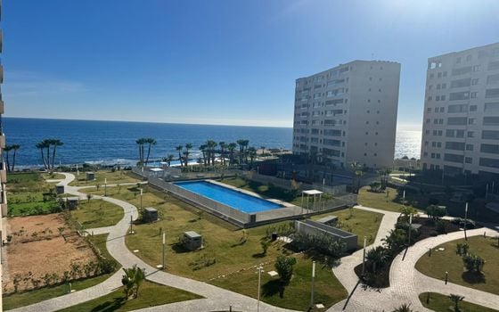 3 bedroom Apartment in Punta Prima - LR126281 - Photo - Small - 14