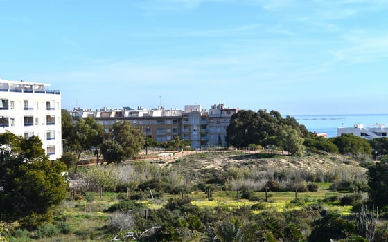 3 bedroom Townhouse in Guardamar del Segura - CSP126727 - Photo - Small - 33
