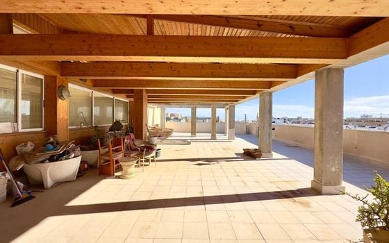 Penthouse de 2 chambres à Torrevieja - CT127017 - Photo - Small - 31