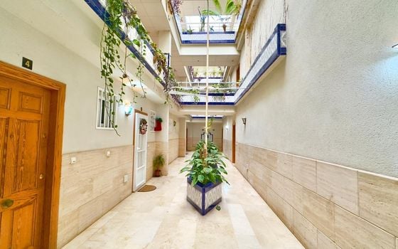 Penthouse de 2 chambres à Torrevieja - CT127017 - Photo - Small - 36