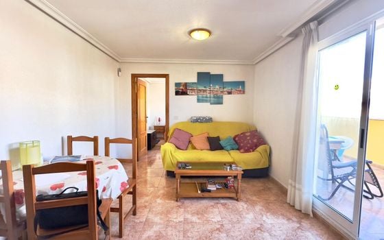 2 bedroom Penthouse in Torrevieja - CT127019 - Photo - 3