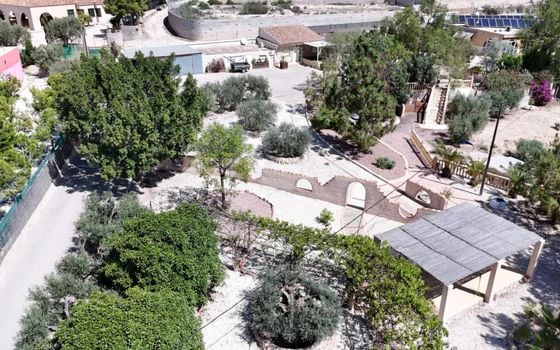 Villa de 5 chambres à Crevillente - SV127669 - Photo - Small - 48
