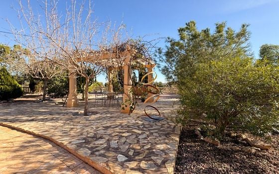 Villa de 5 chambres à Crevillente - SV127669 - Photo - Small - 45