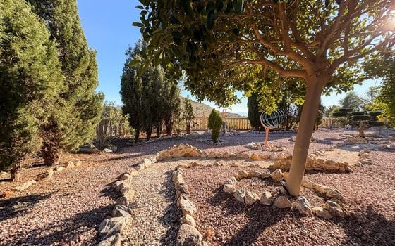 Villa de 5 chambres à Crevillente - SV127669 - Photo - Small - 46