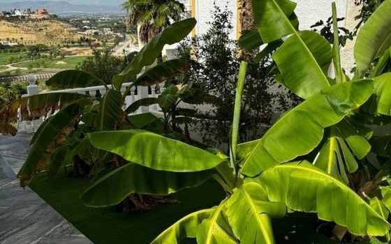 Вилла в Рохалес, 8 спален - SV127671 - Фото - Small - 27