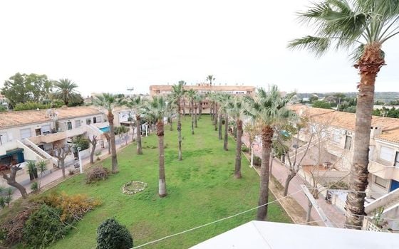 1 bedroom Apartment in Orihuela Costa - CRR127731 - Photo - Small - 10
