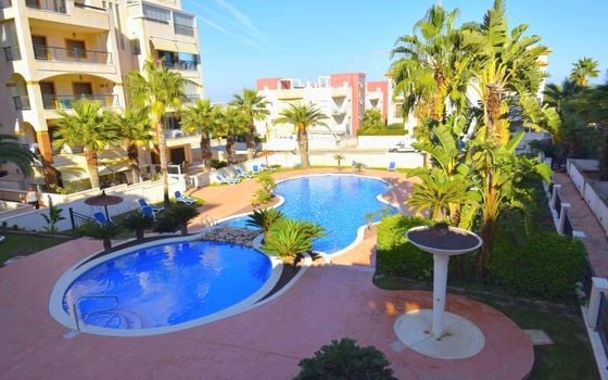2 bedroom Apartment in Guardamar del Segura - NSP127836 - Photo - 2