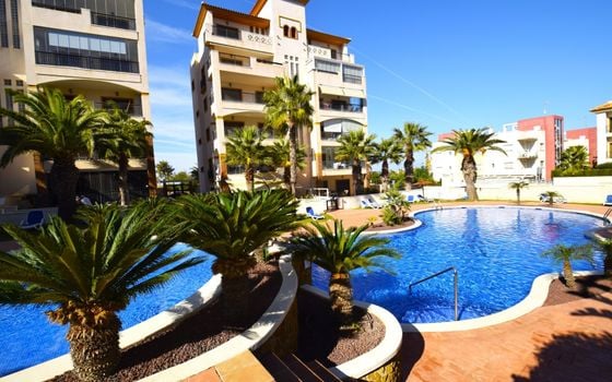 2 bedroom Apartment in Guardamar del Segura - NSP127836 - Photo - 1