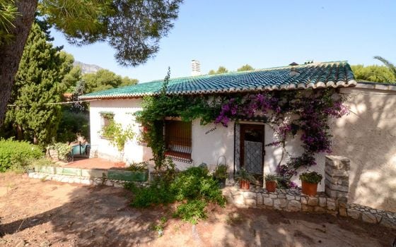 Villa de 4 chambres à Denia - EGH129077 - Photo - Small - 20