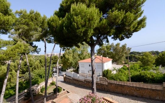Villa de 4 chambres à Denia - EGH129077 - Photo - Small - 22