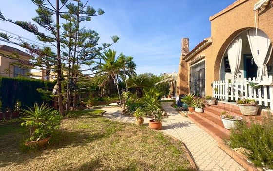 Villa de 3 chambres à Torrevieja - CT129086 - Photo - 3