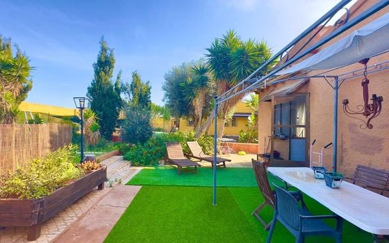 Villa de 3 chambres à Torrevieja - CT129086 - Photo - 4