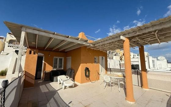 Villa de 3 chambres à San Miguel de Salinas - GET129529 - Photo - Small - 26