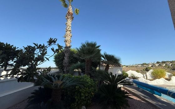 3 bedroom Villa in San Miguel de Salinas - GET129531 - Photo - Small - 24