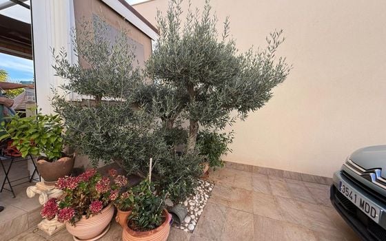 3 bedroom Villa in Los Montesinos - GET129537 - Photo - Small - 28
