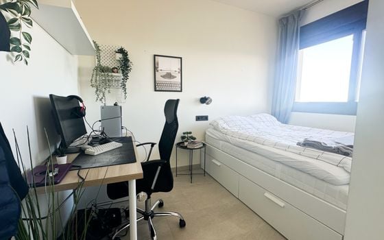 Bungalow de 3 chambres à Torrevieja - RCJ147732 - Photo - Small - 18