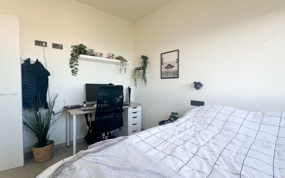 Bungalow de 3 chambres à Torrevieja - RCJ147732 - Photo - Small - 20