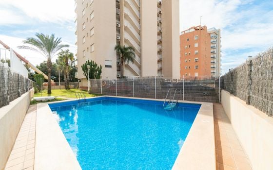 3 bedroom Apartment in Guardamar del Segura - RPF129866 - Photo - 2