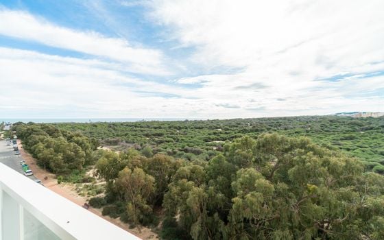 Apartmán   v Guardamar del Segura, 3 ložnice - RPF129866 - Foto - Small - 23