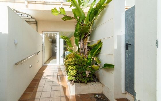 Apartmán   v Guardamar del Segura, 3 ložnice - RPF129866 - Foto - Small - 24