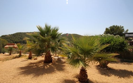 3 bedroom Villa in Javea - GNV130233 - Photo - Small - 30