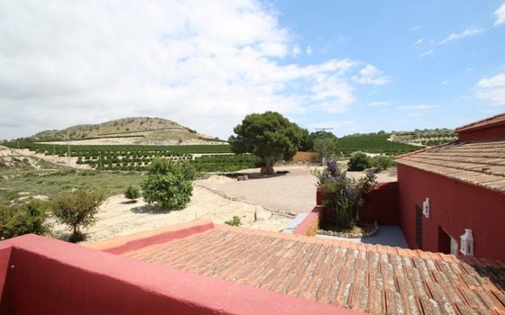 4 bedroom Villa in Orihuela - CRR41183 - Photo - Small - 45