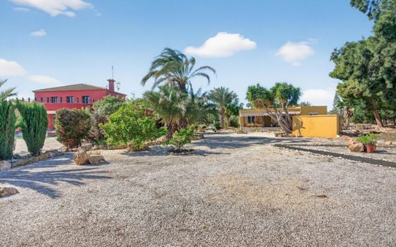Villa de 5 chambres à Santa Pola - CBE131405 - Photo - Small - 42
