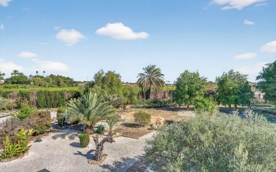 Villa de 5 chambres à Santa Pola - CBE131405 - Photo - Small - 47