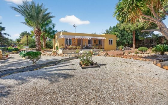 Villa de 5 chambres à Santa Pola - CBE131405 - Photo - Small - 46