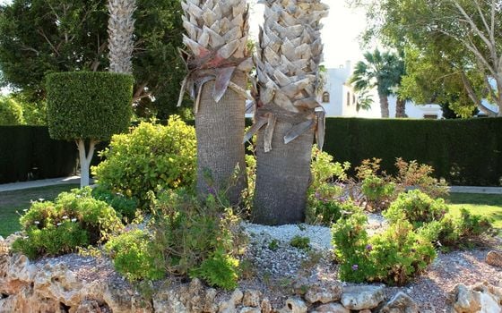 Apartament w Orihuela Costa, 3 sypialnie - VEC131618 - Zdjęcie - Small - 27