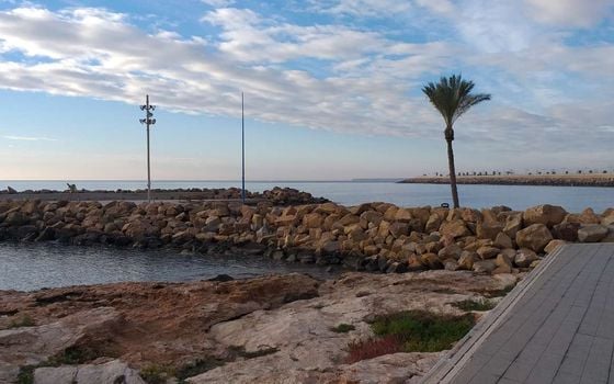 Penthouse de 2 chambres à Torrevieja - EGL131653 - Photo - Small - 12