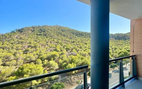 2 bedroom Apartment in Villajoyosa - SSL131679 - Photo - Small - 22