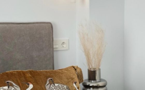 2 Schlafzimmer Appartement in Finestrat - CPP131818 - Foto - Small - 13