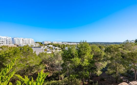 Appartement de 2 chambres à Las Colinas - PLM131823 - Photo - Small - 25