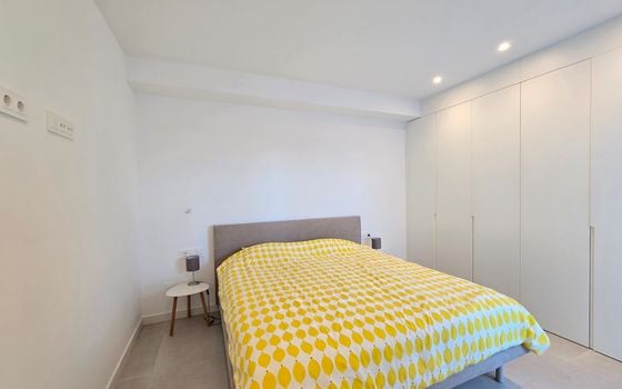Apartament cu 2 dormitoare în Pilar de la Horadada - DSR131848 - Imagini - Small - 13