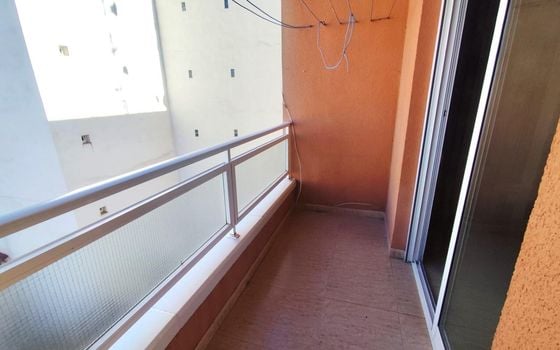 Appartement de 2 chambres à Torrevieja - HRE140914 - Photo - Small - 15
