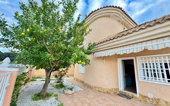 3 bedroom Villa in Torrevieja - CRR132022 - Photo - Small - 26