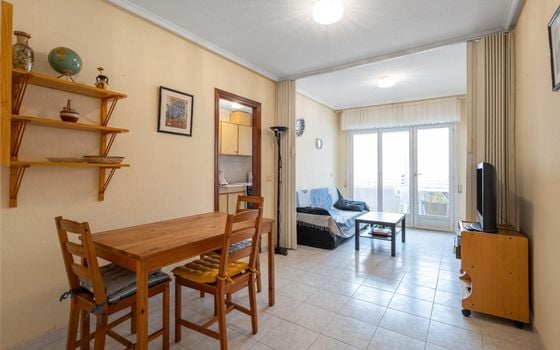 Appartement de 1 chambre à Torrevieja - GVS132028 - Photo - 4