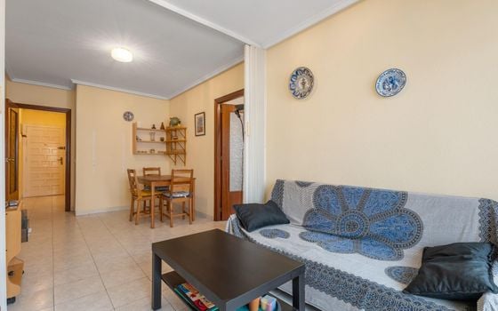 Appartement de 1 chambre à Torrevieja - GVS132028 - Photo - 2